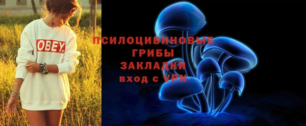 дмт Алексин