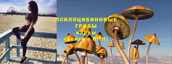 дмт Алексин