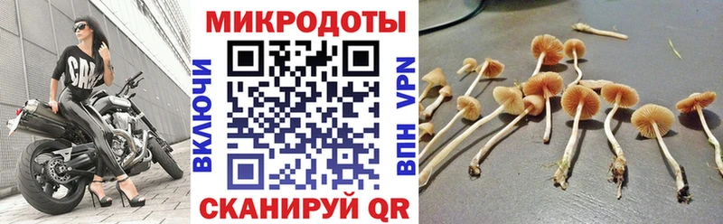 что такое   Болхов  Галлюциногенные грибы мухоморы 