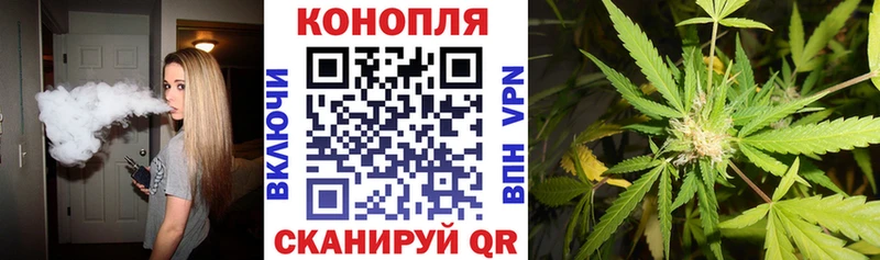 Конопля OG Kush  Болхов 